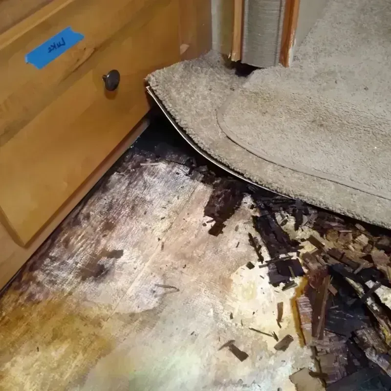 Wood Floor Water Damage in Solana Beach, CA